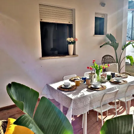 Casa Gladioli Con Ampio Giardino Tatil Evi Tirrenia