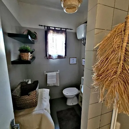 Casa Gladioli Con Ampio Giardino Tatil Evi Tirrenia